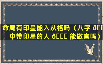 命局有印星能入从格吗（八字 🌳 中带印星的人 🐒 能做官吗）